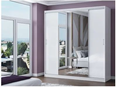 Шкаф-купе Альянс-3 ЛДСП (Белый)