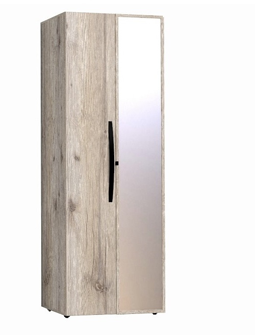 Шкаф для одежды с фасадами Стандарт+Зеркало Nature 54 гаскон