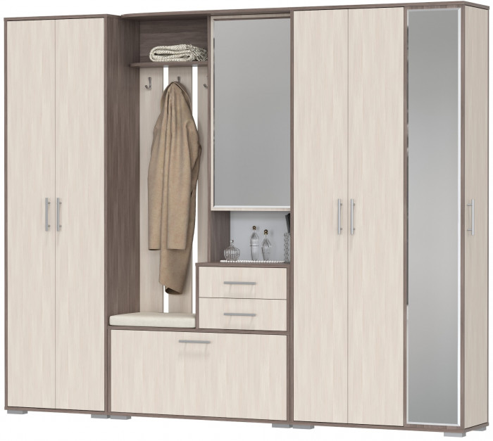 Прихожая Домино 6, цвет бодега тёмный/бодега светлый, ШхГхВ 248х36х202 см., универсальная сборка