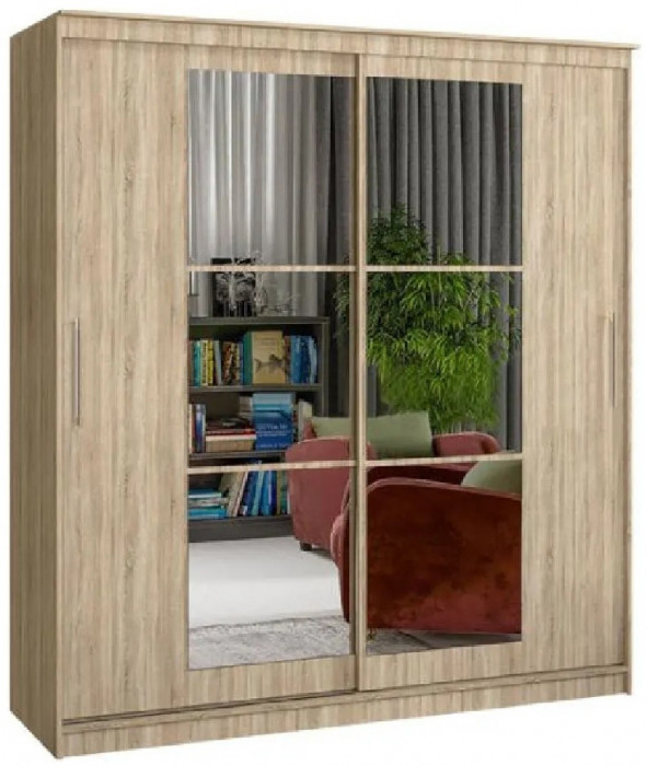 Шкаф-купе Элегант 3 1700 (Венге)