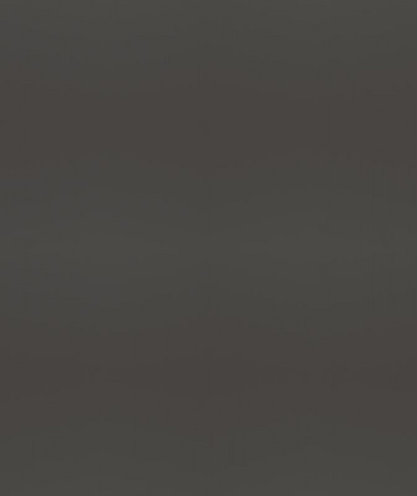 Ф-285 Альфа (ШВГ 460х600) МДФ холст вулкан