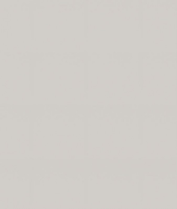 Ф-42 Альфа (ШН2Я 600) МДФ холст белый