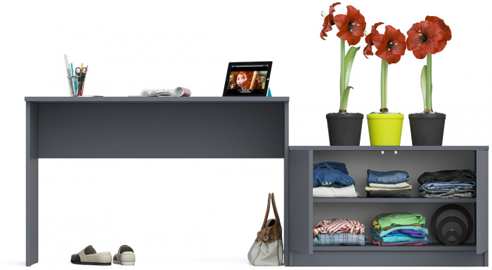 Мори письменный стол МСП1200.1 + Тумба МА900.1, графит