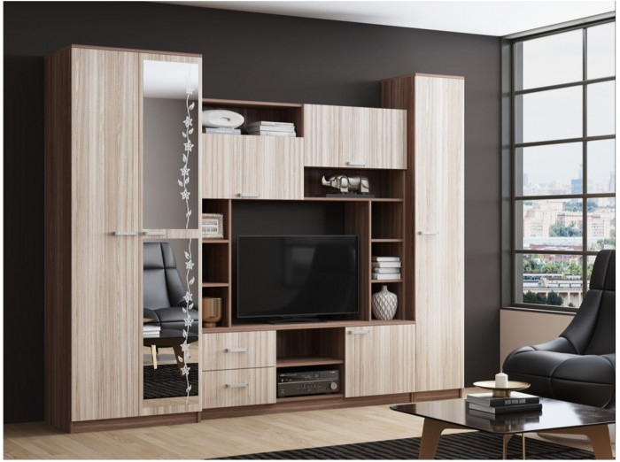 Гостиная Флора-4 ЛДСП (Ясень шимо темный / светлый)