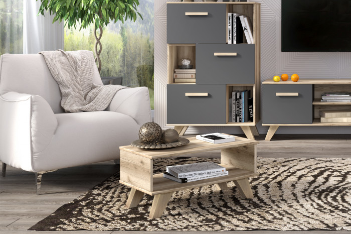 Гостиная Вега Скандинавия (комплект 5)